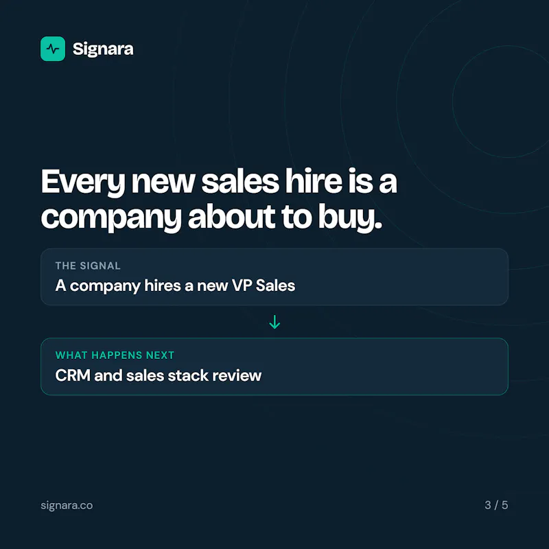 Signara screenshot 4