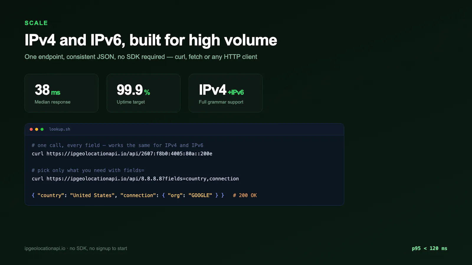IP Geolocation API screenshot 2