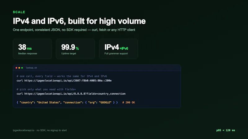 IP Geolocation API screenshot 2