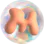 Melon