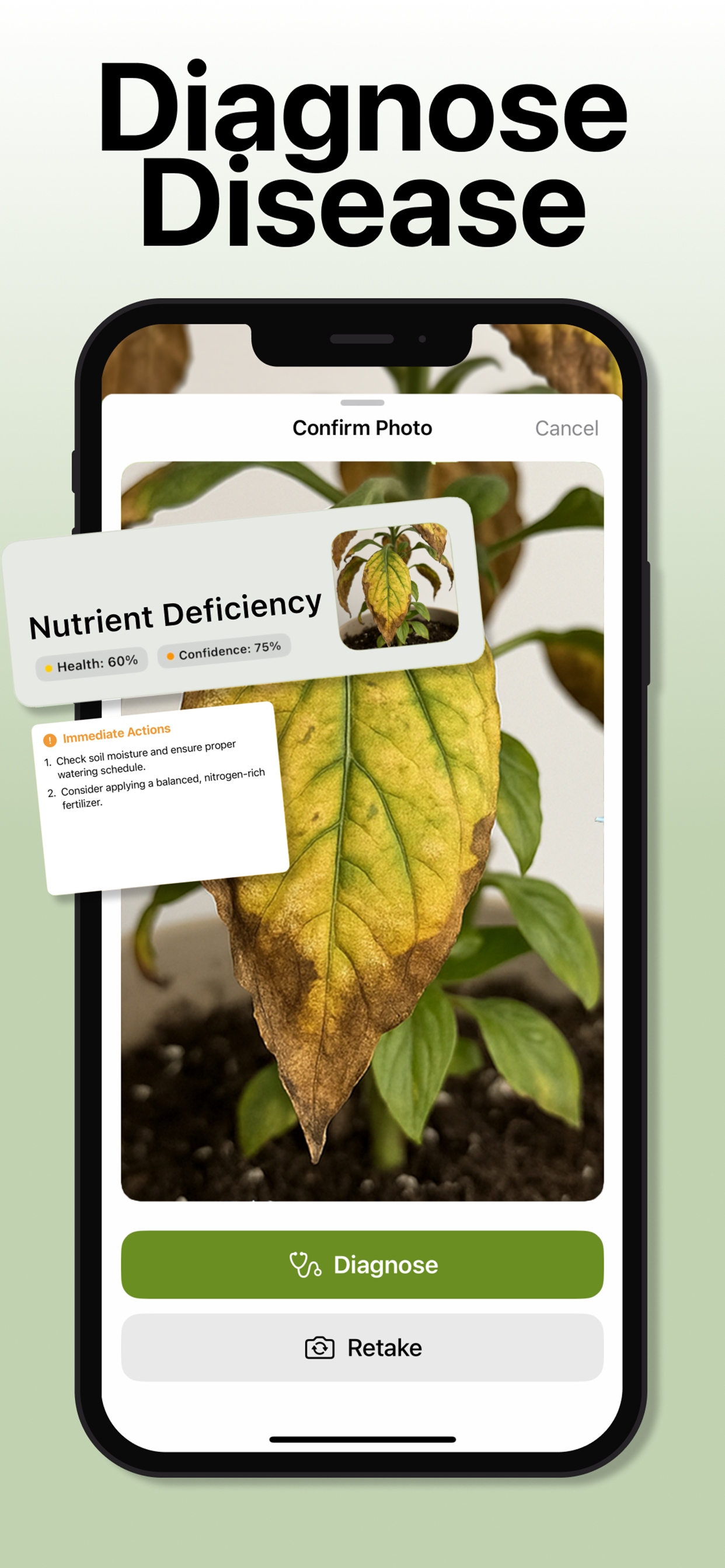 PlantMD gallery image