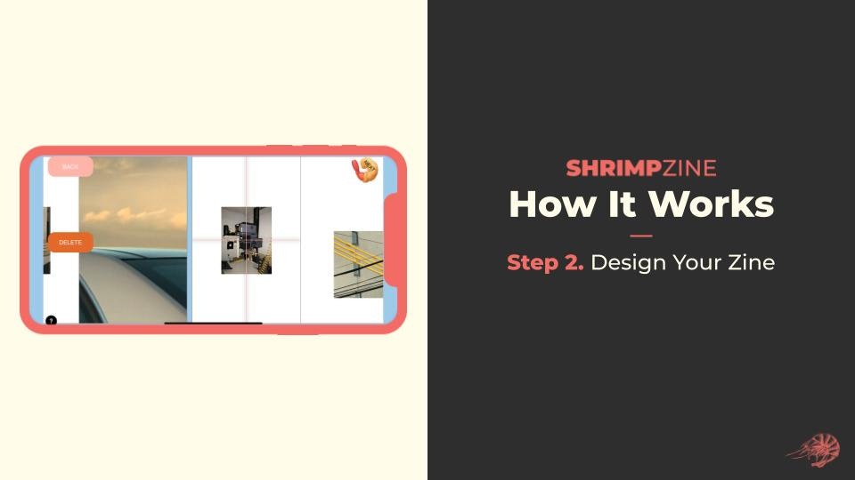 SHRIMP ZINE media 3