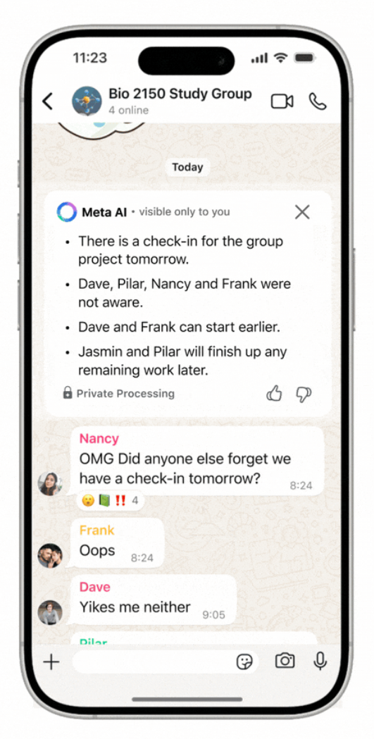 WhatsApp Message Summaries media 5