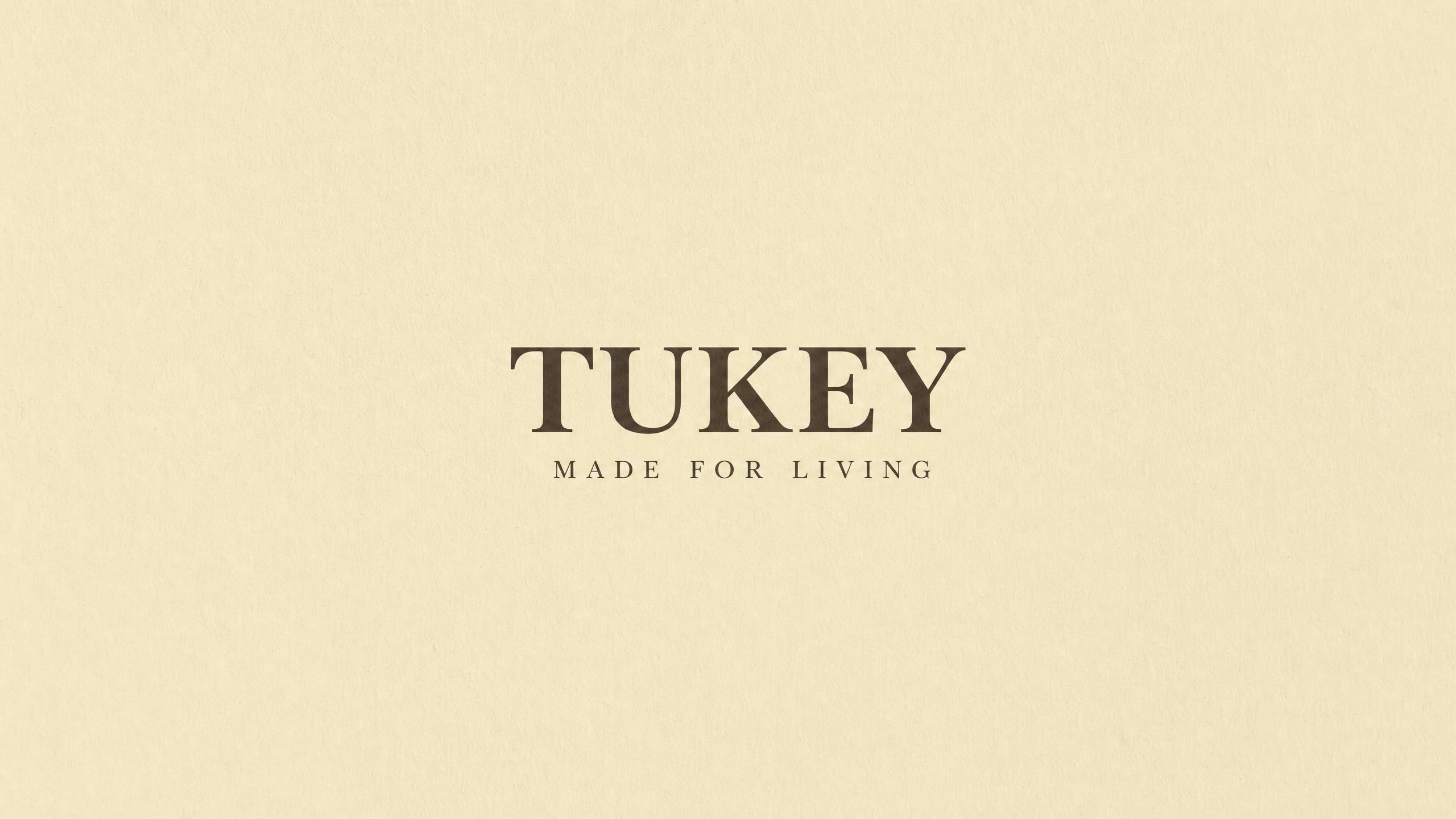 Tukey AI gallery image