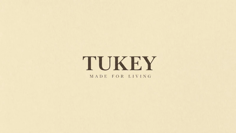 Tukey AI screenshot 2
