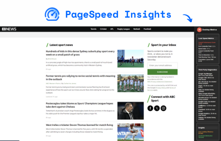 Pagespeed Insights media 3