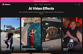 Blinkpop.video gallery image