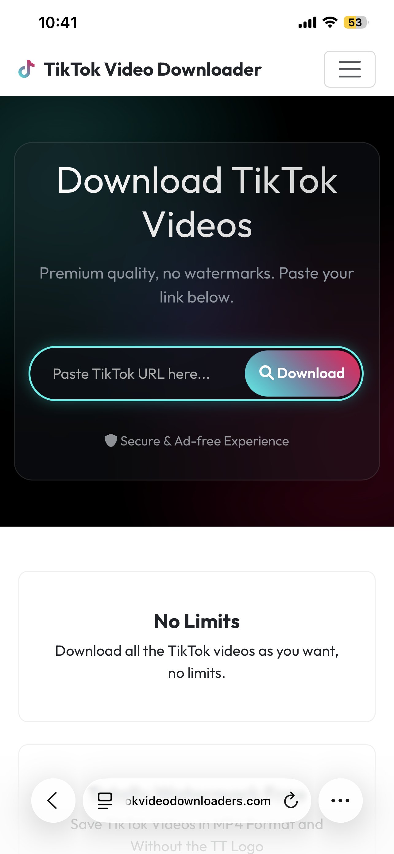 TikTok Video Downloader media 1