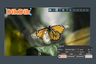 DikDik 4.6.0.0 gallery image