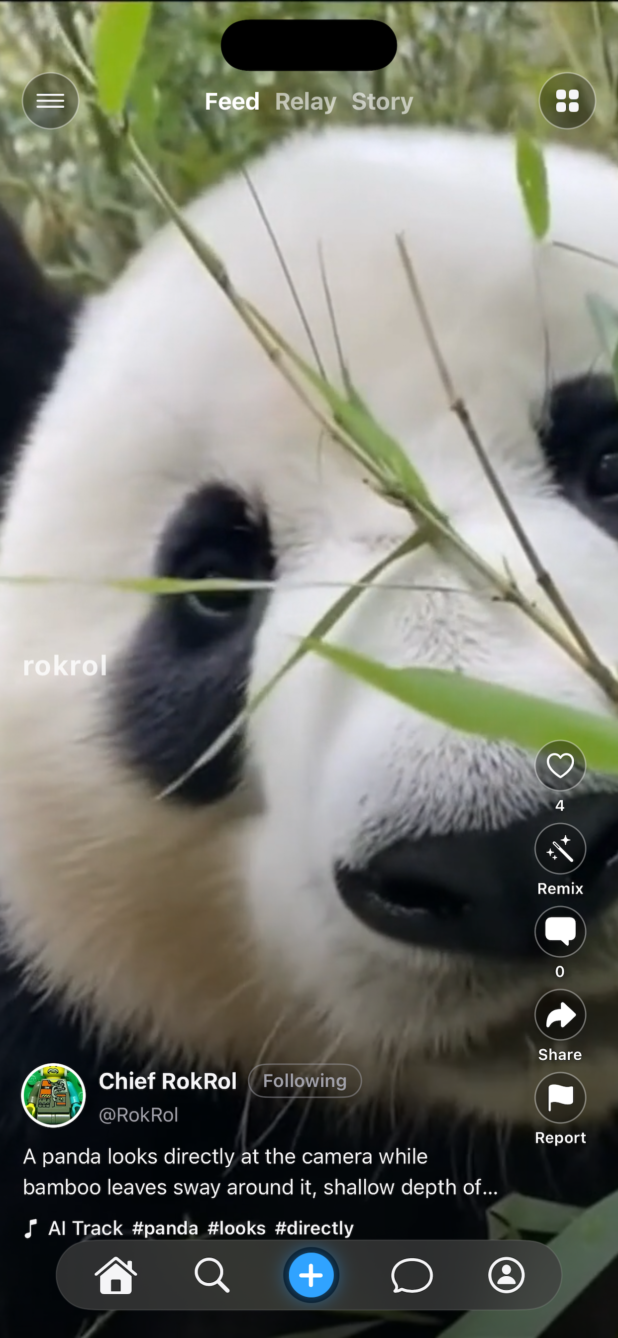 RokRol - Screenshot 2 showing product features and functionality