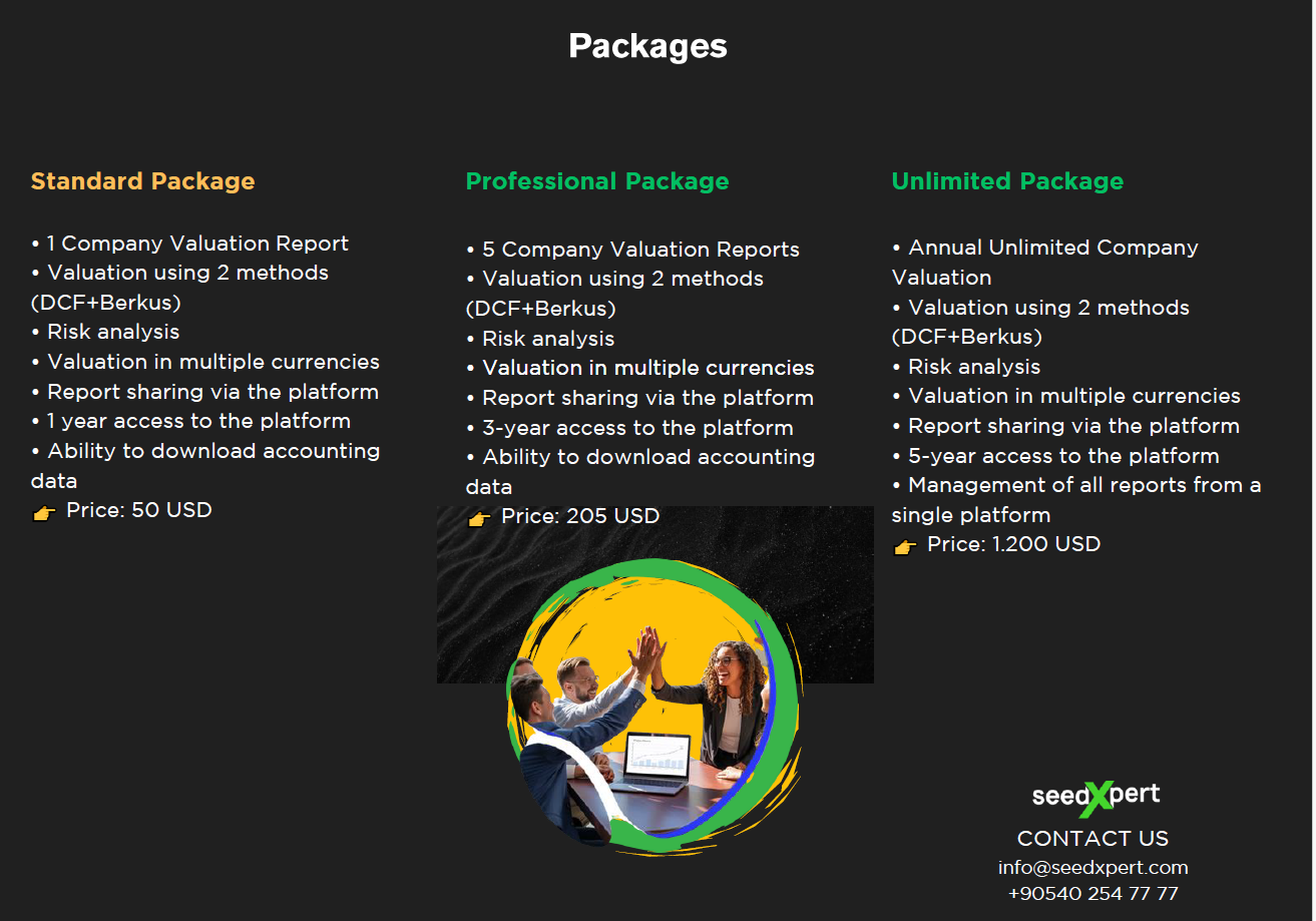 Company Valuation with SeedXpert  gallery image