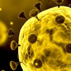 ShouldIStillStayAtHome.com