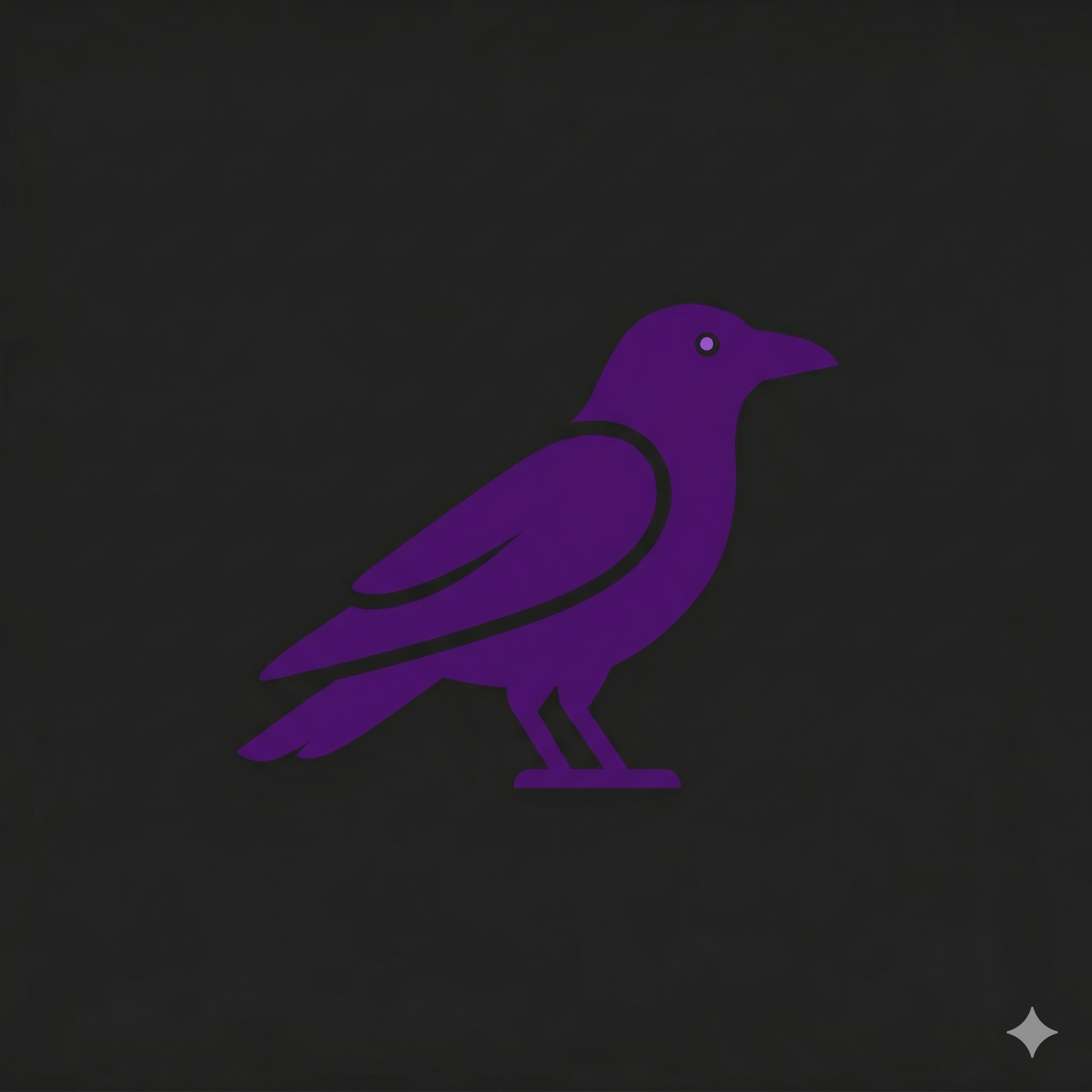Curious Crow 