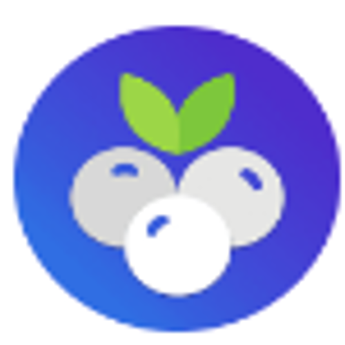 Blueberry POS - Product Hunt launch logo and brand identity