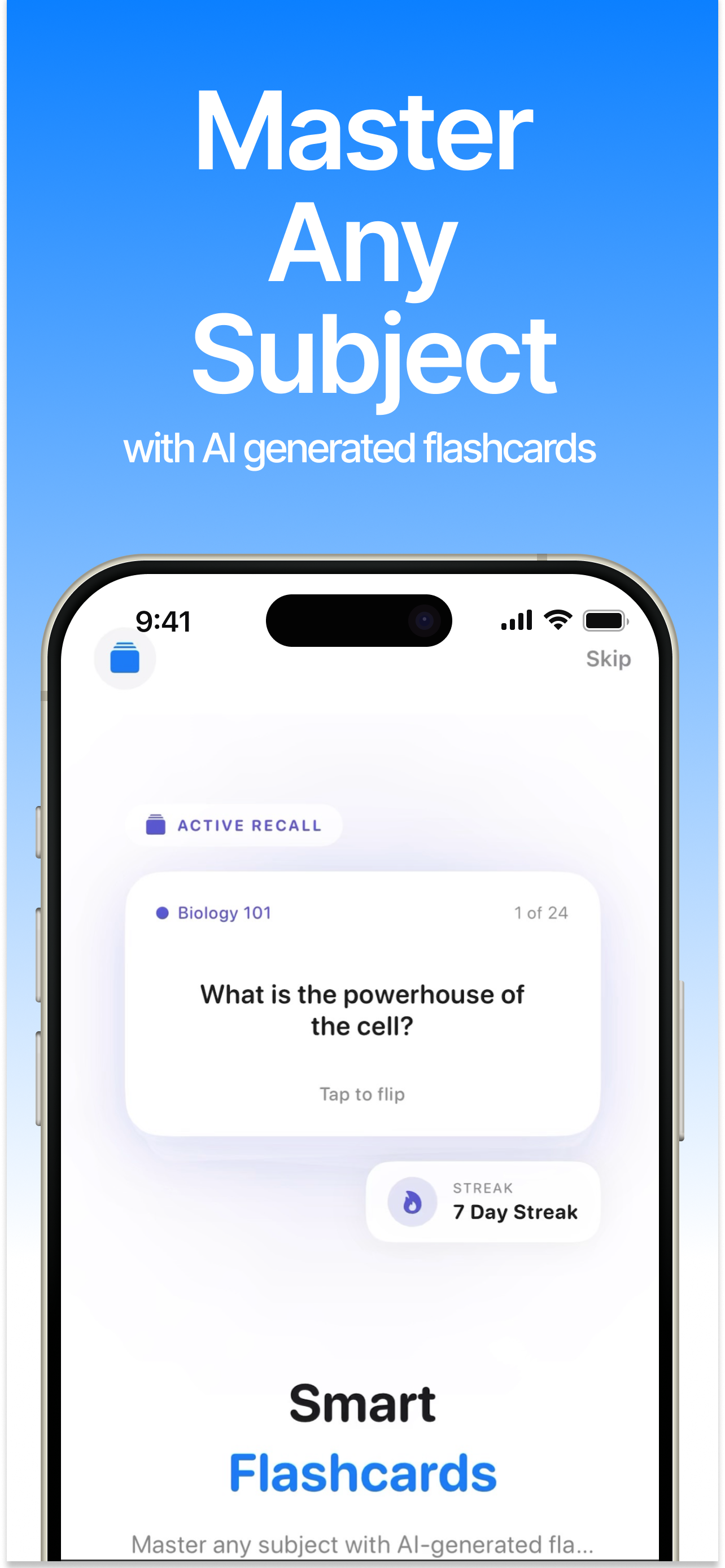 LectureScribe.io gallery image
