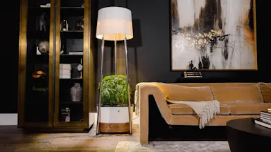 Annaboto gallery image