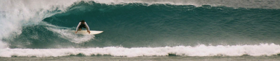 Barbarian Days: A Surfing Life  gallery image