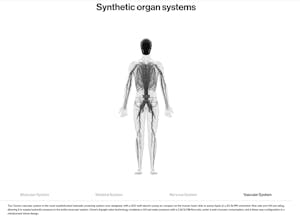 Protoclone gallery image