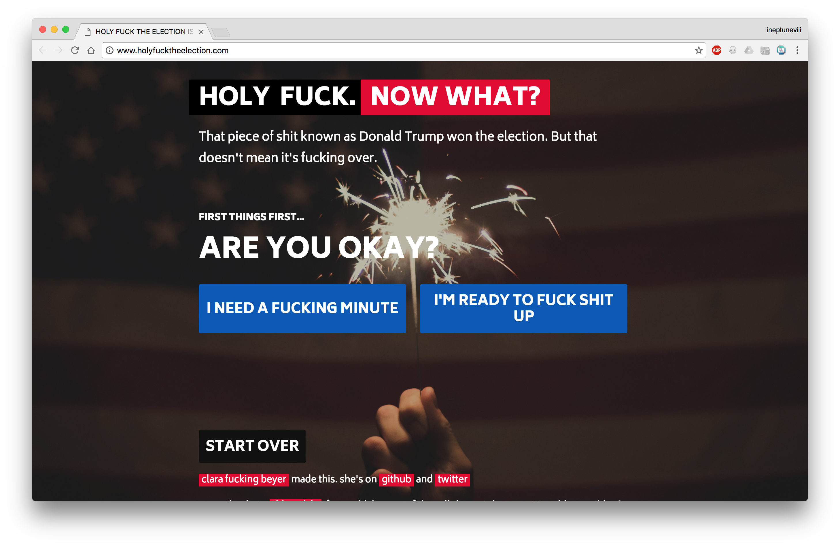 Holy F*ck The Election gallery image