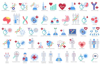 ConceptDraw DIAGRAM v12.1.6 gallery image