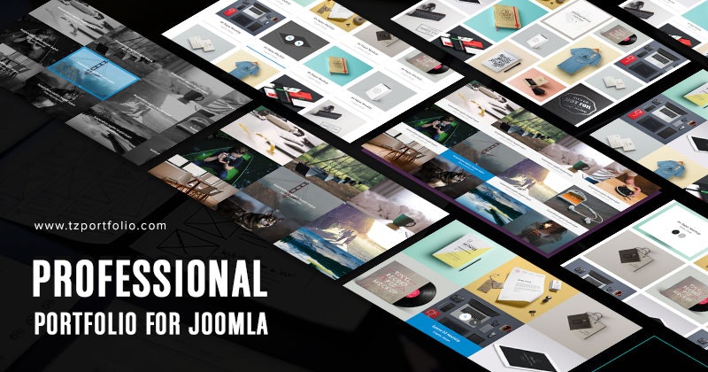 TZ Portfolio gallery image