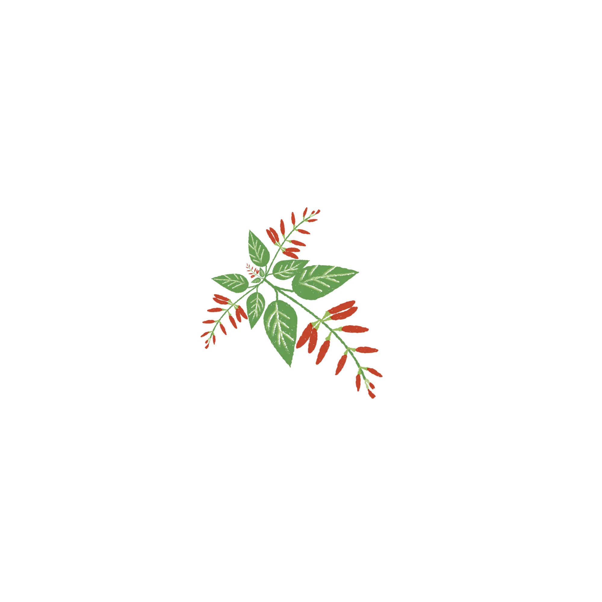 Salvia - continuous clinical compliance logo