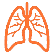 anatomyHERO