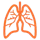 anatomyHERO