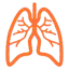 anatomyHERO