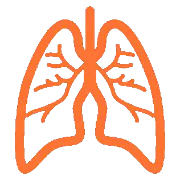 anatomyHERO
