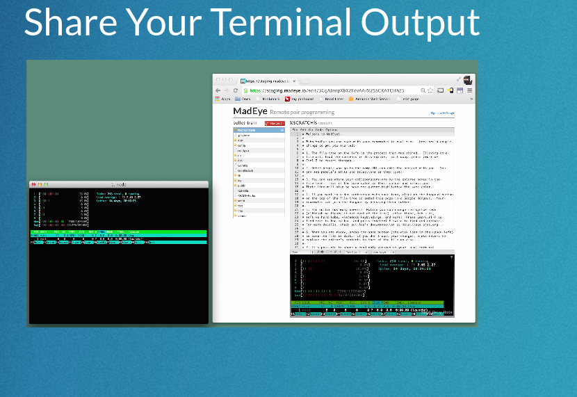 MadEye gallery image