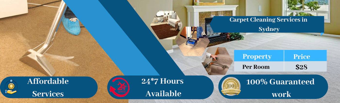 MajorCarpet Cleaners cover