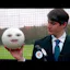 Fulby - No more empty pitches!