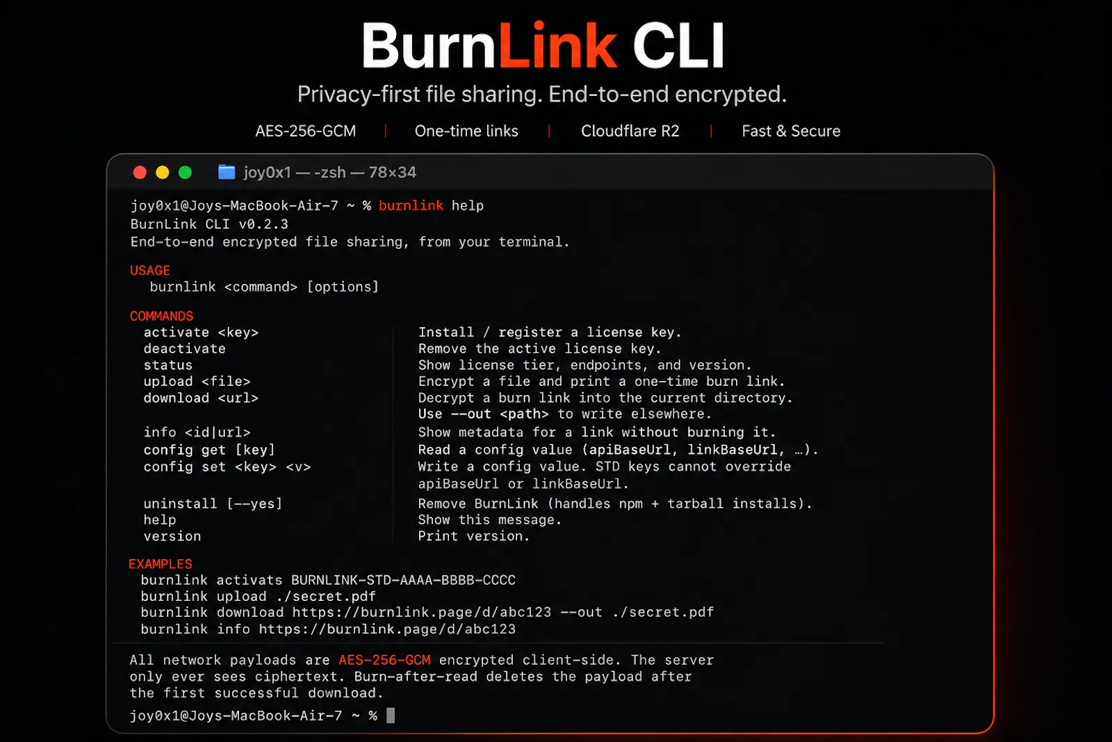 BurnLink CLI screenshot 2
