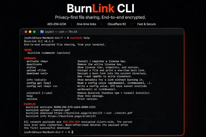 BurnLink CLI screenshot 2