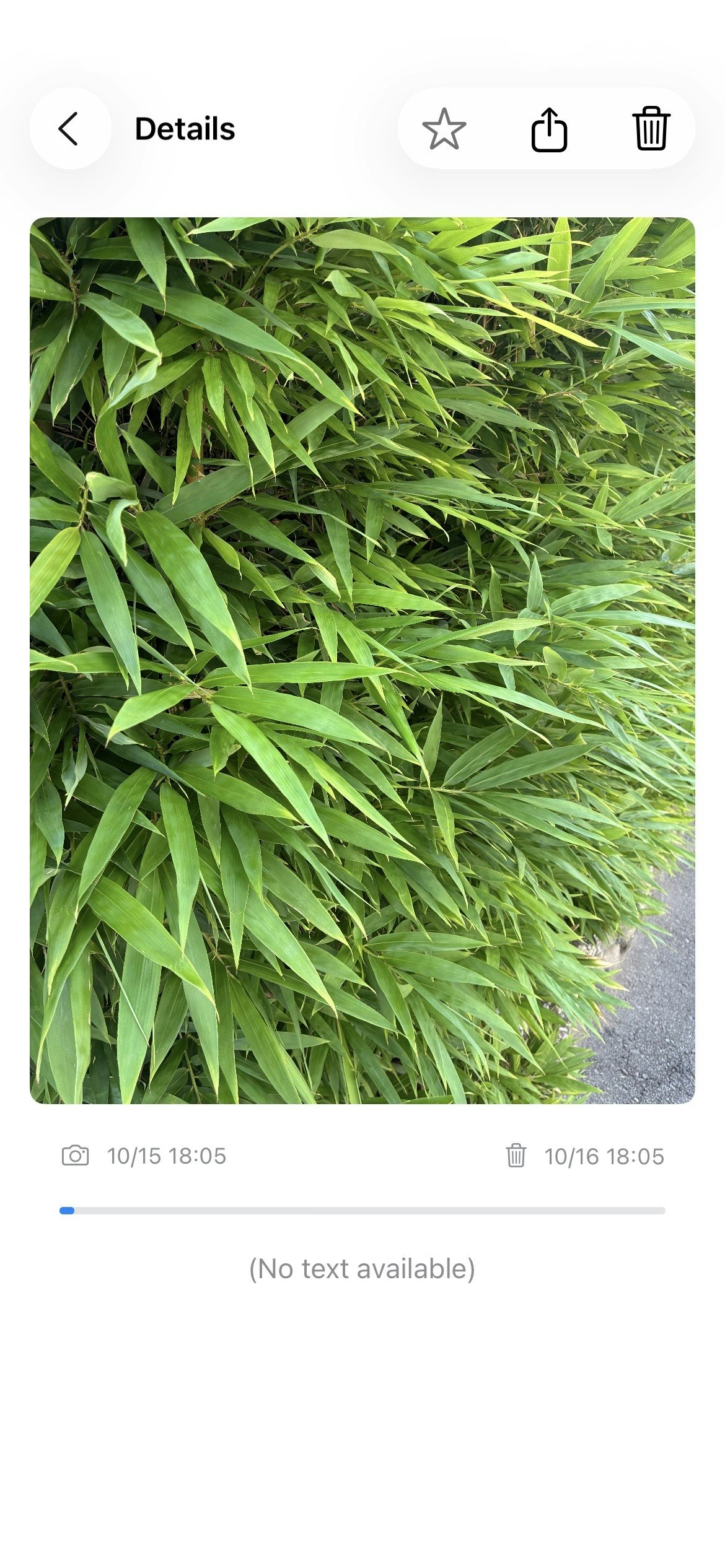 SnapKeeps gallery image