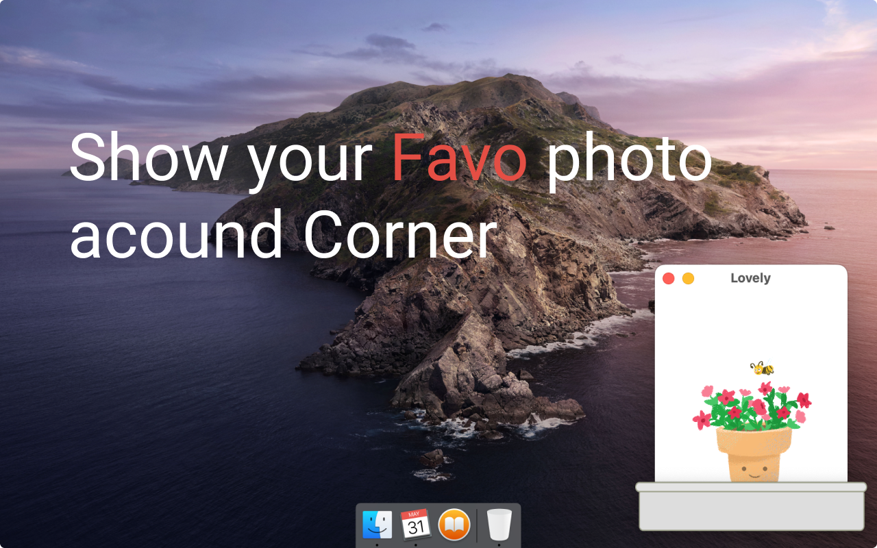 Lovely gallery image