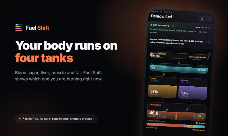 Fuel Shift screenshot 2