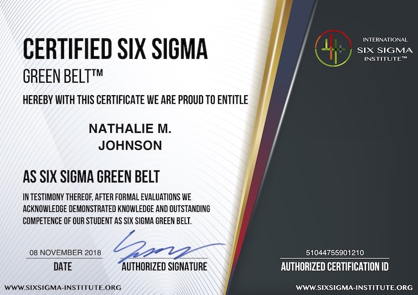 Six Sigma Institute gallery image