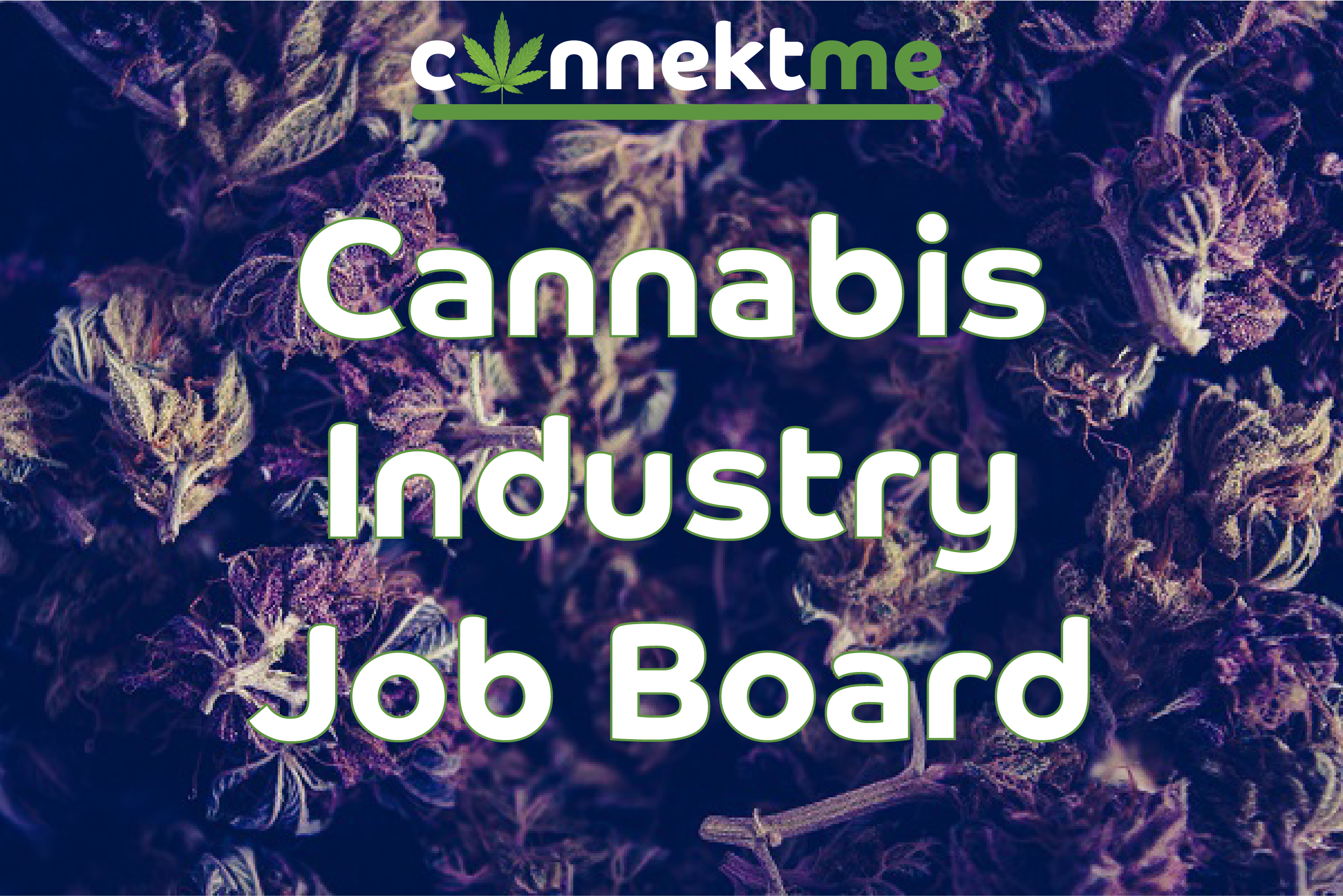 cannektme gallery image