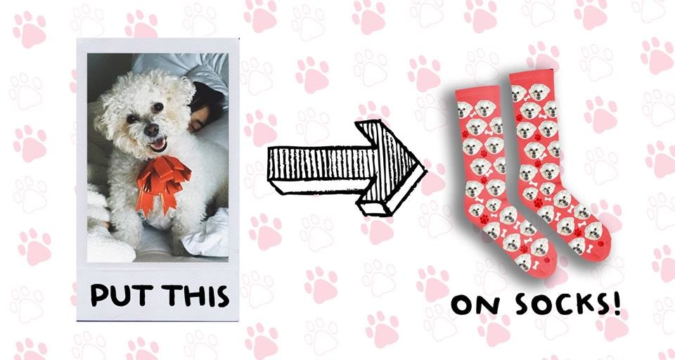 Pup Socks Stylish Socks With Your Pups Face On It Product Hunt