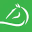 The Equestrian