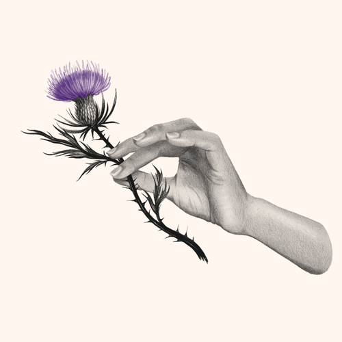 The Filament gallery image