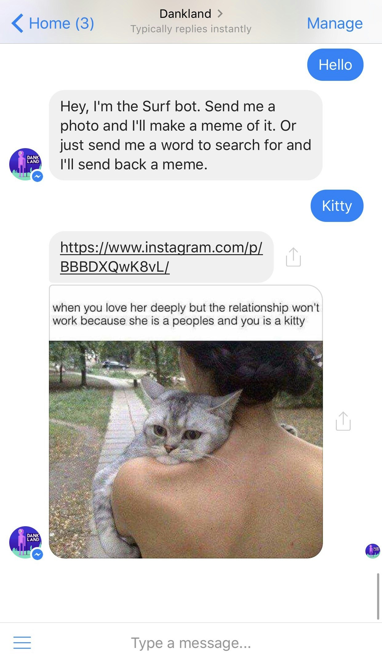 Dankland gallery image