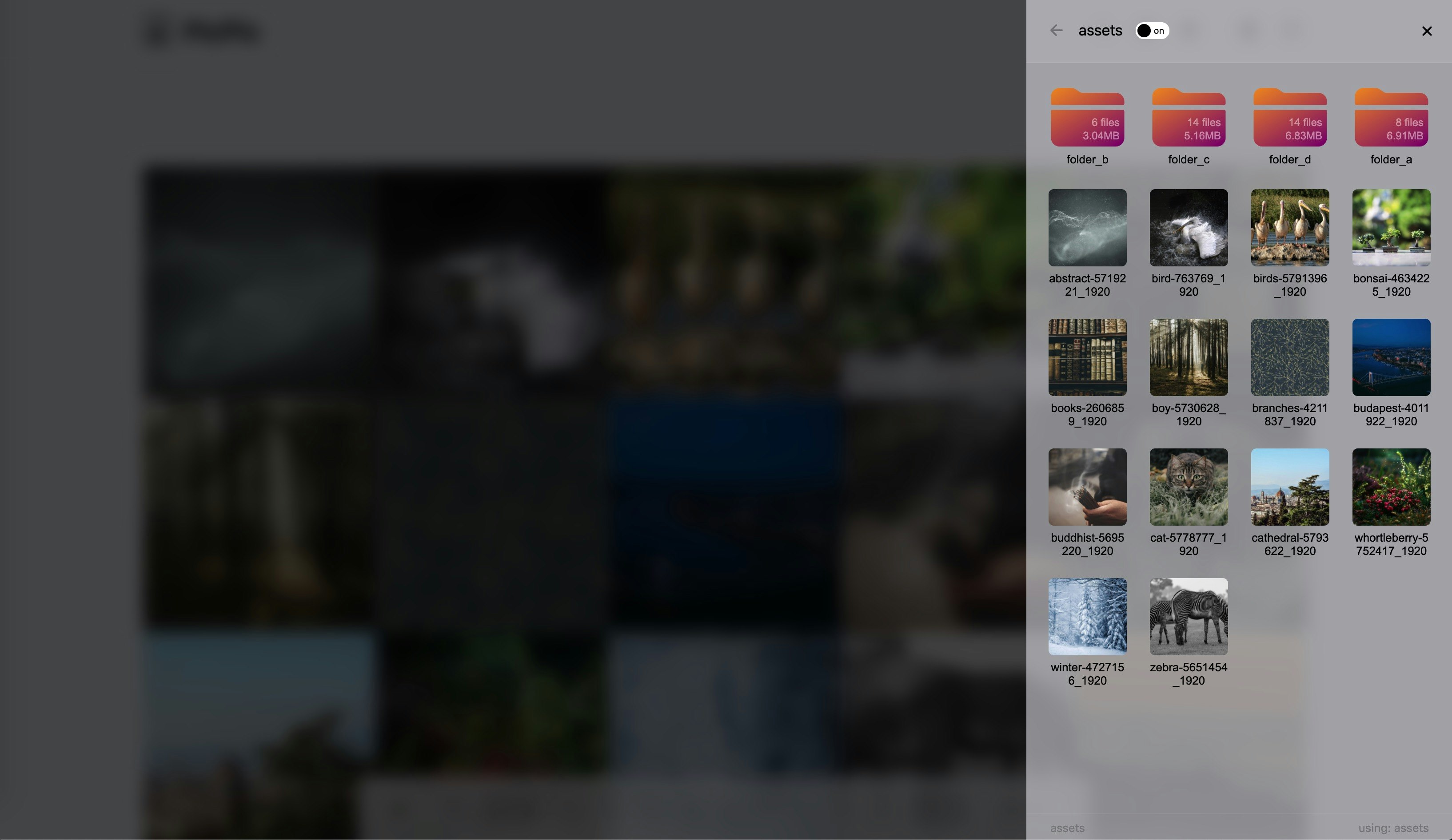 picpic gallery image