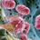 3d medical animation
