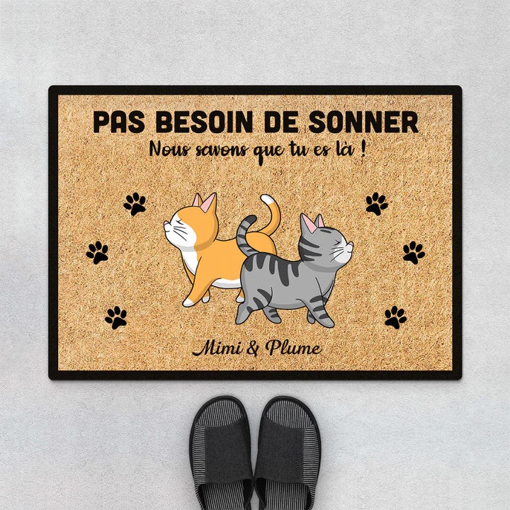 cadeau pour chat