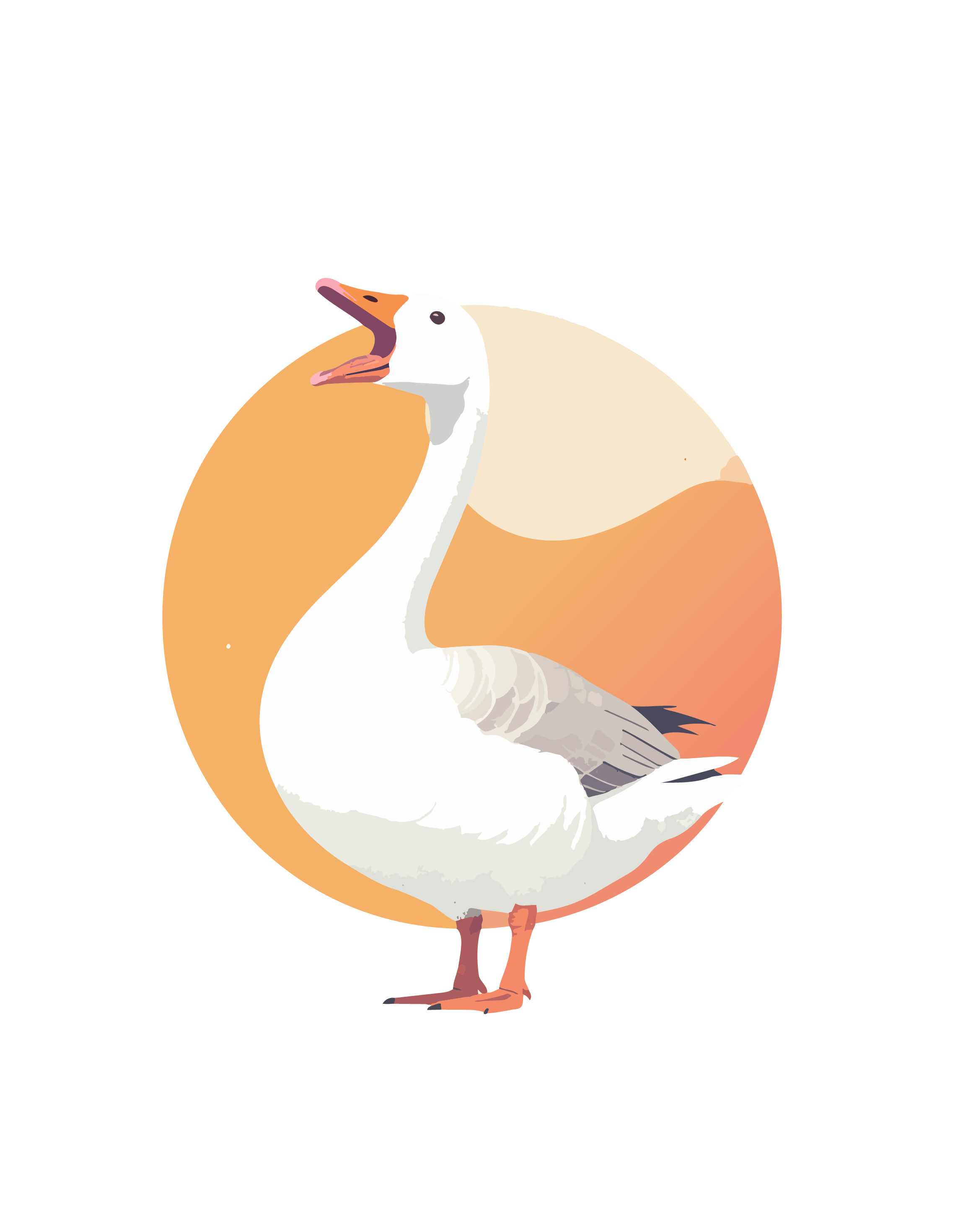 Honk