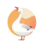 Honk