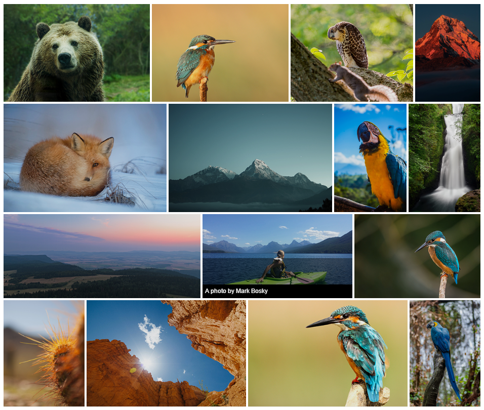 lightGallery WP gallery image